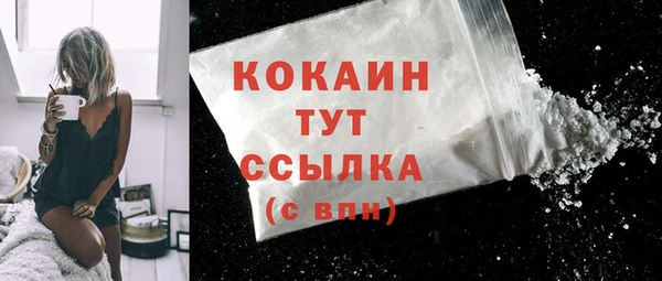шишки Касимов