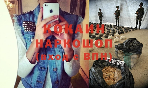 шишки Касимов