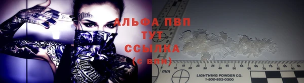 apvp Инсар
