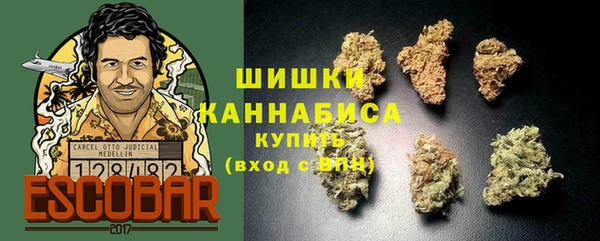 шишки Касимов