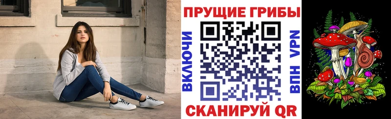 Купить закладки  Баймак  Псилоцибиновые грибы ЛСД 
